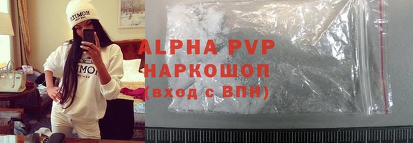 прущий лед Дмитриев