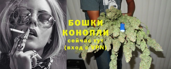 стафф Дмитров
